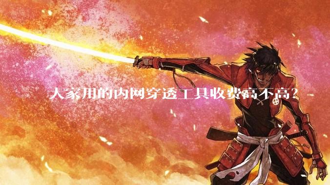大家用的内网穿透工具收费高不高？